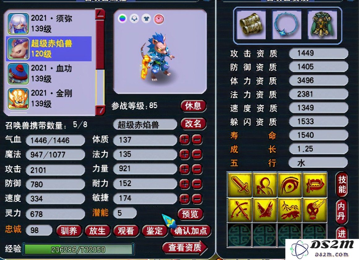 梦幻西游新宝宝 梦幻西游新宝宝：探索游戏新乐趣与策略