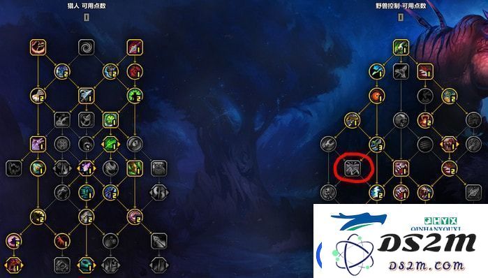 wow10.0兽王猎单体输出天赋加点和输出手法