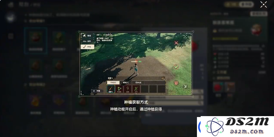 荒野起源种子种植攻略