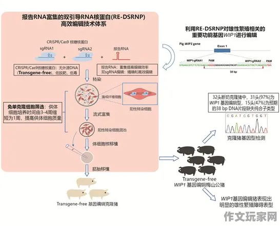 触碰你 装备研究：触碰你 地图解析 触碰你 地图解析 战术体系解析