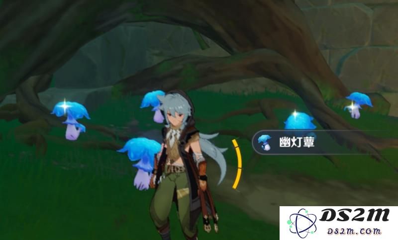 探秘原神幽灯蕈的用途及重要性
