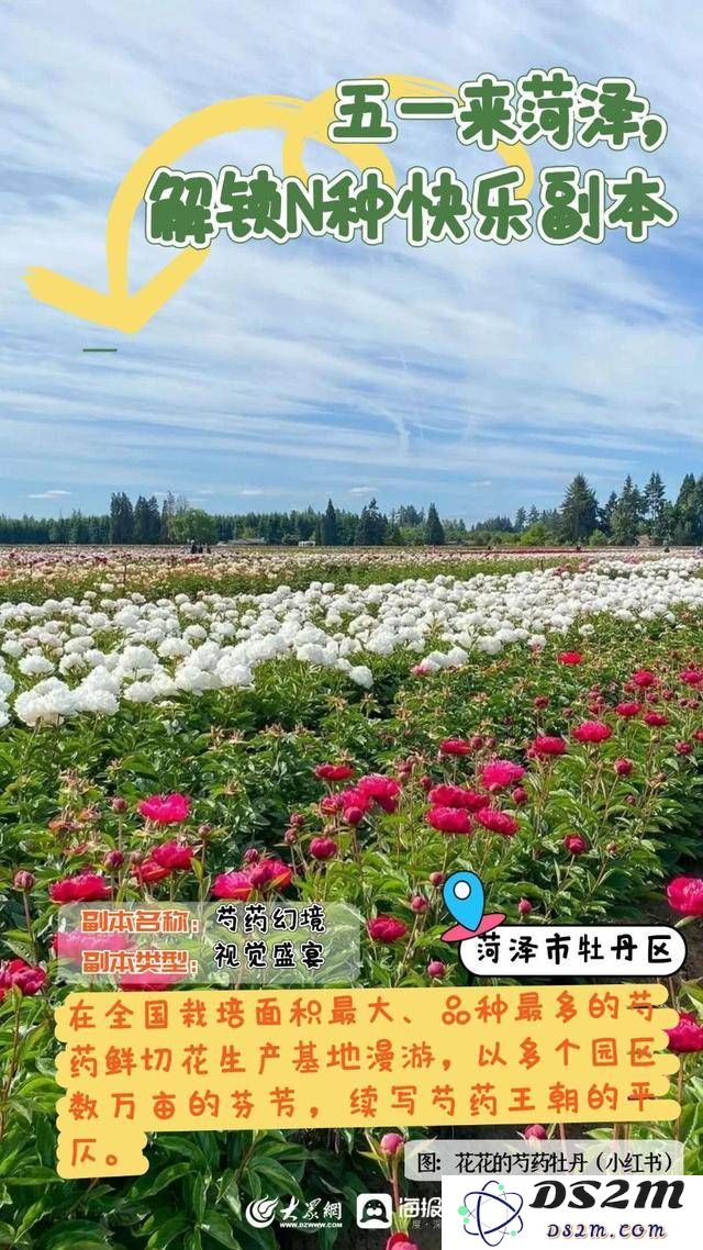 在五一假期畅游菏泽，体验自然与文化的完美结合