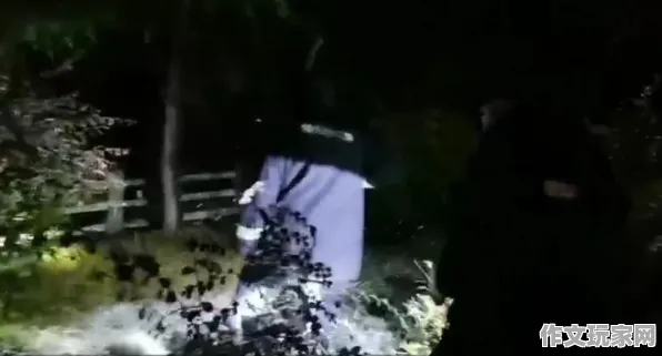 游戏300 团队战术：游戏300 玩家反馈汇总 游戏300：玩家反馈汇总与性能测试报告