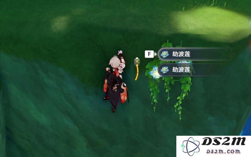 劫波莲采集完全攻略：高效路线与技巧分享