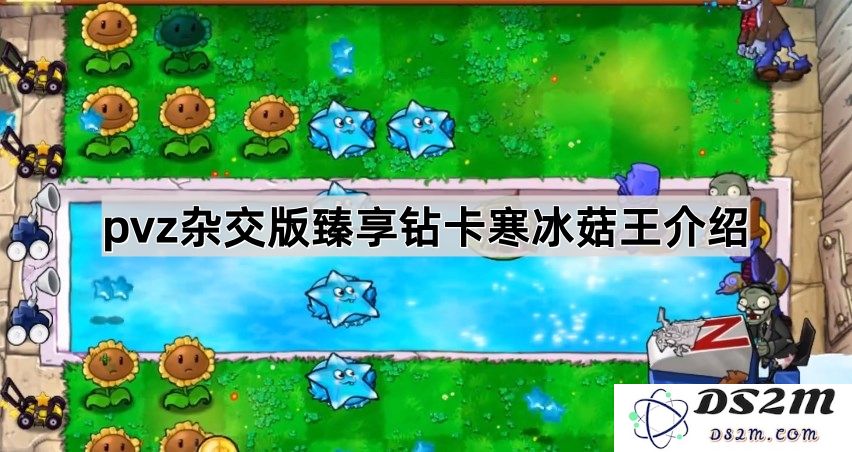 《植物大战僵尸杂交版》新秀寒冰菇王详细解析与钻卡特性介绍