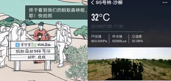 首度揭秘｜蚂蚁森林快速成长指南 硬核｜2025年04月全新攻略