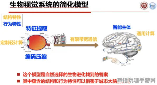 神经信号传输与解码全新体验-Windows全息视界-4月最新版本V2.0-脑机接口2.0游戏互动升级