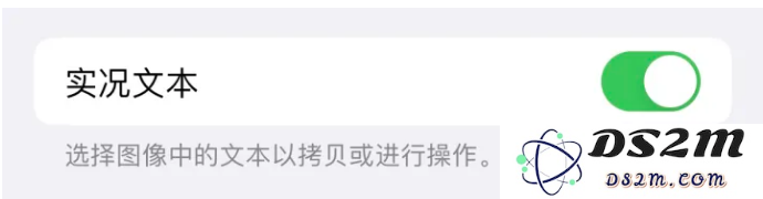 实况文本的实际应用是什么？如何通过iPhone 14相机实时取景进行文字识别
