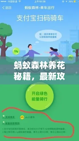→2025｜蚂蚁森林成长秘籍分享 全新版本更新和快速养成攻略大揭秘