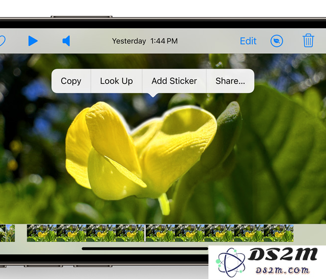 iOS 17 值得留意的细节改进汇总：实用离线地图、支持看图查询菜谱等