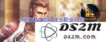 如何详细介绍王者之剑中的战士职业及其特点与玩法策略