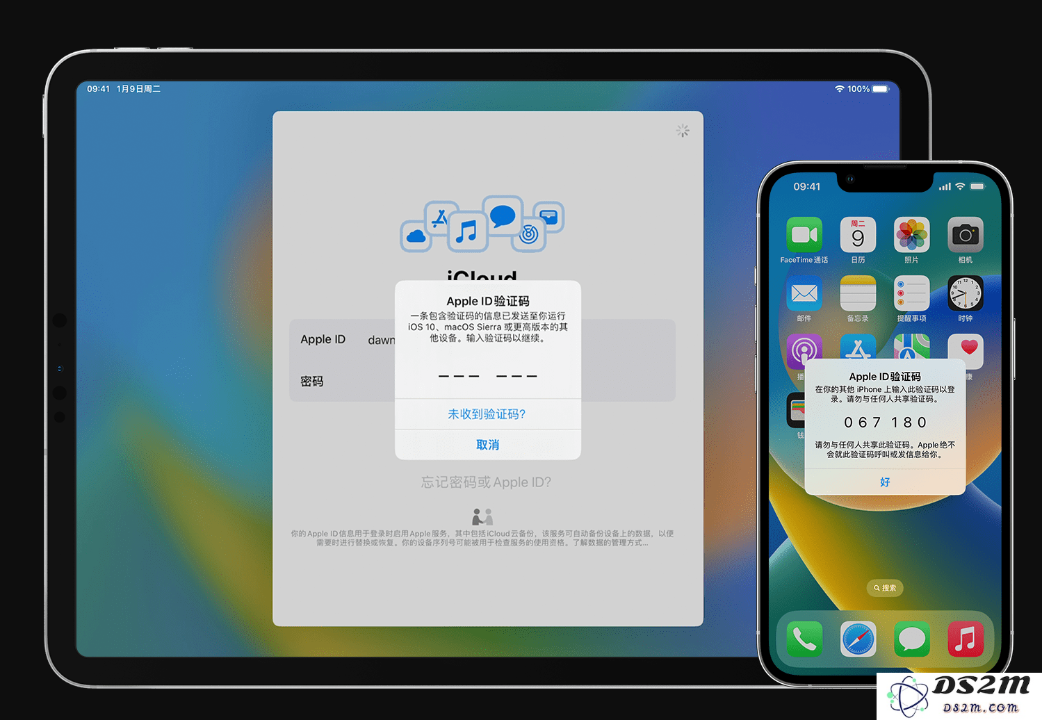 如何在 iPhone 上验证和管理受信任设备与受信任电话号码的设置？