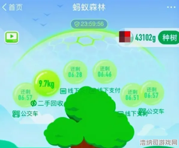 ▶最新零氪通关攻略｜蚂蚁森林快速养成指南 2025年4月星推版