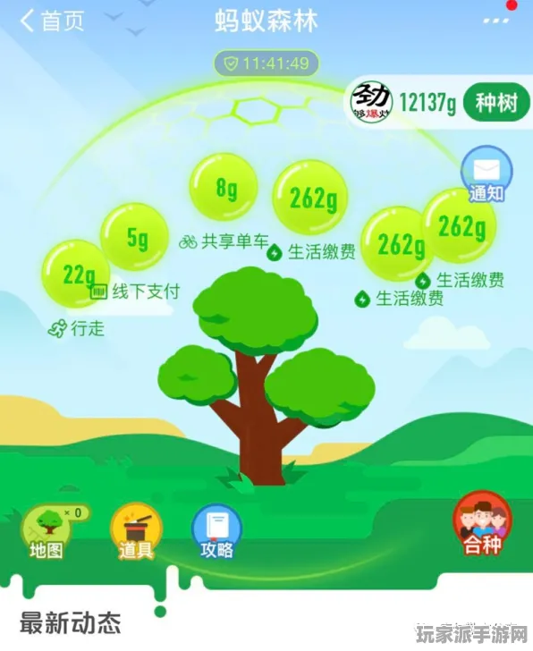 独家研究｜蚂蚁森林快速成长技巧详解 实测效果对比｜v0425｜全方位攻略
