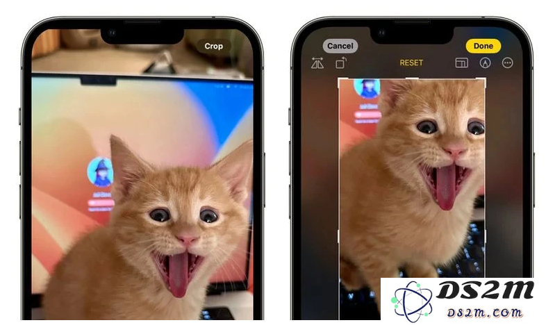 了解iOS 17 “照片”应用中新的操作逻辑及其使用技巧
