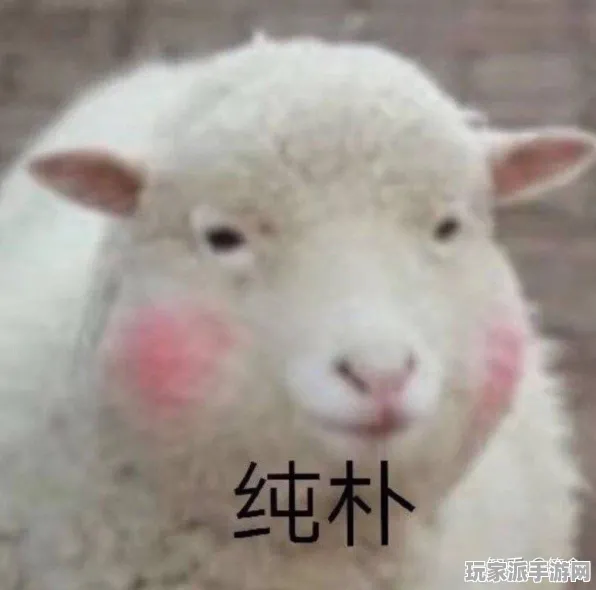 ｜新手指南｜全面汇总 羊了个羊兑换码信息 高科技参与攻略｜2025年04月最新推荐