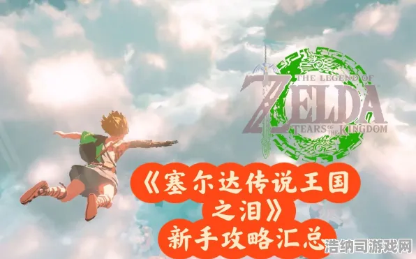 最新攻略，1 突发｜新手必看 独家｜v0425｜塞尔达传说，王国之泪太空探索攻略，零基础到宇宙漫游的全流程解析！