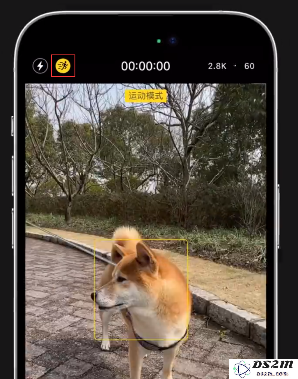 掌握这几个简单技巧，让你在 iPhone 14 手持拍摄时也能轻松保持视频画面的稳定性
