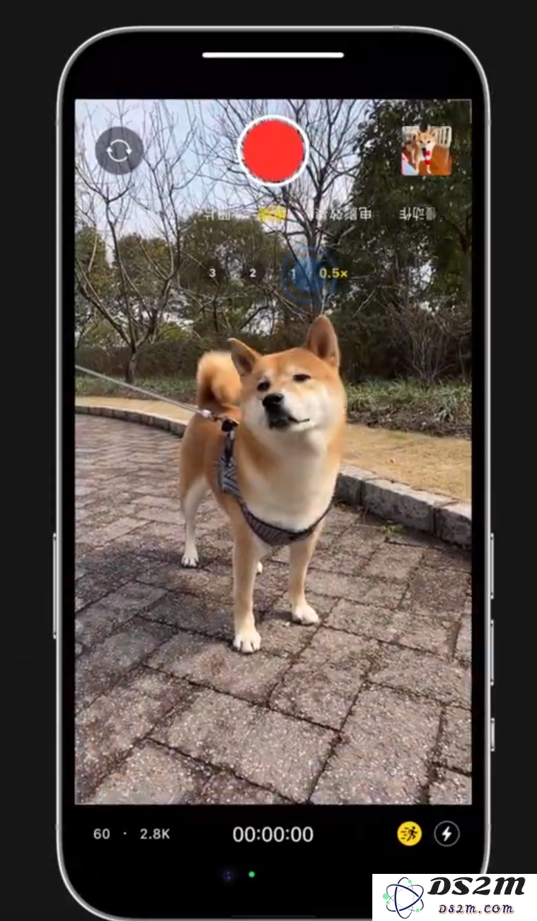 小技巧：在 iPhone 14 上手持拍摄也能保持画面稳定