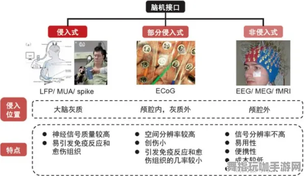 脑机接口2.0游戏-角色培养方案-支付宝即玩-实时更新-0428