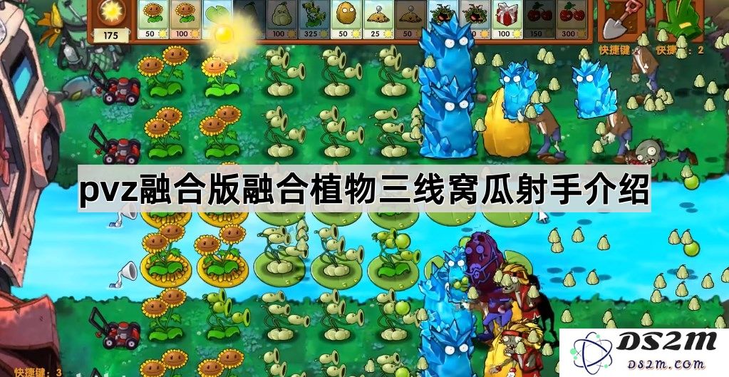 《植物大战僵尸融合版》融合植物三线窝瓜射手详细解析与玩法技巧分享