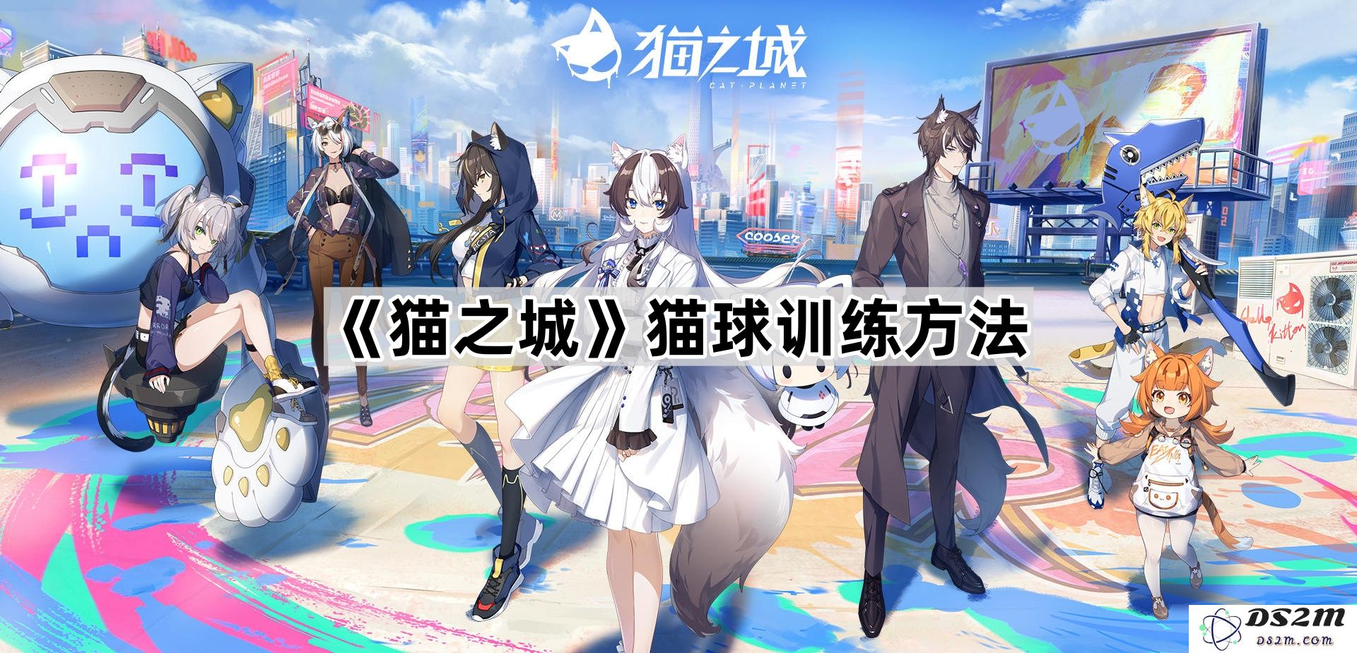 《猫之城》关于猫球训练技巧与方法的全面指南