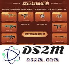 穿越火线荆棘的属性解析及其在游戏中的应用分析