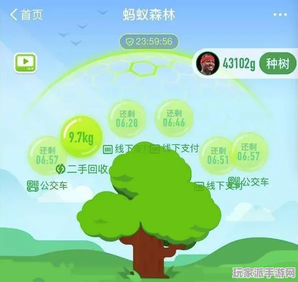 紧急｜教学 蚂蚁森林道具兑换 完整实测与攻略分享｜v0425｜详细攻略