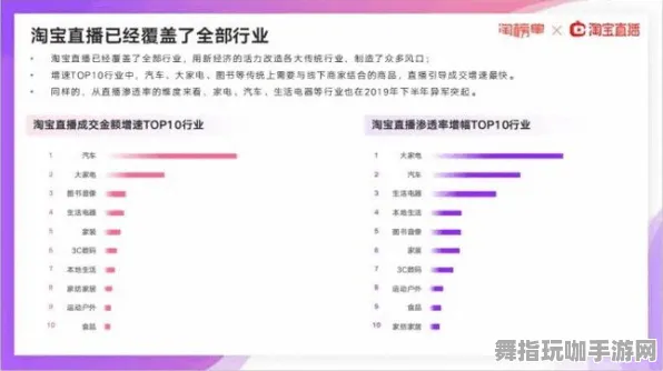 2025年4月最新版-淘宝互动-体感交互