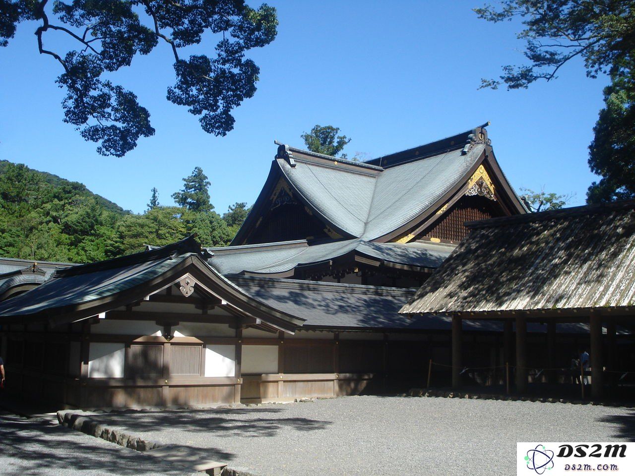 原神神社彩蛋消失之谜：房顶人影为何突然不见？