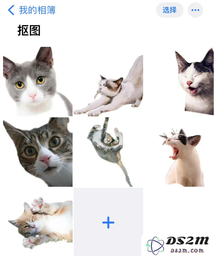 iPhone 14可以批量抠图吗？iOS16批量抠图方法