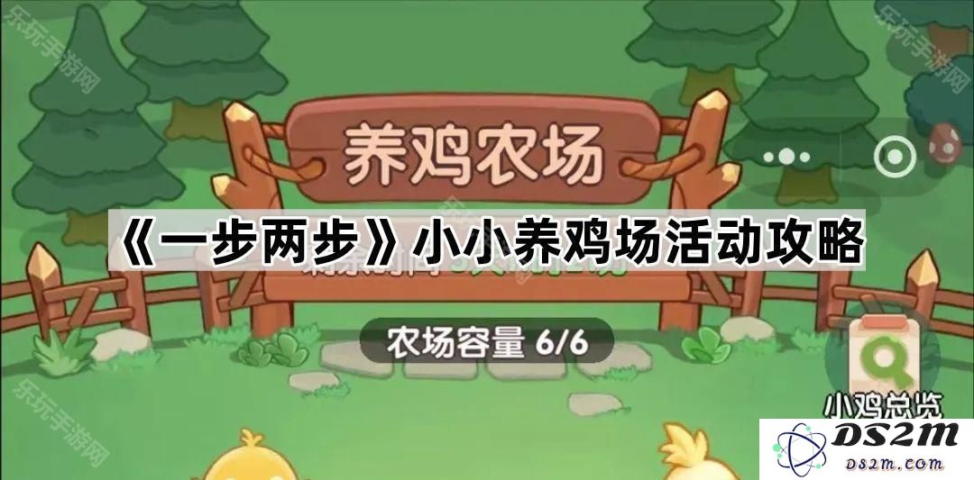《一步两步》小小养鸡场趣味活动全攻略，掌握养鸡技巧轻松玩转小鸡场