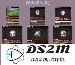星痕共鸣雷影剑士所具有的独特技能有哪些影响与优势