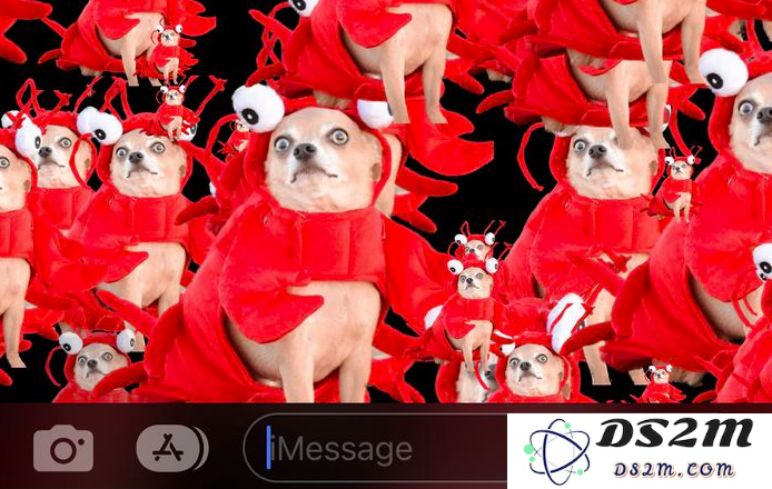 iOS 16 特殊功能推荐：利用抠图技巧与 iMessage 特效轻松分享有趣的图片和瞬间