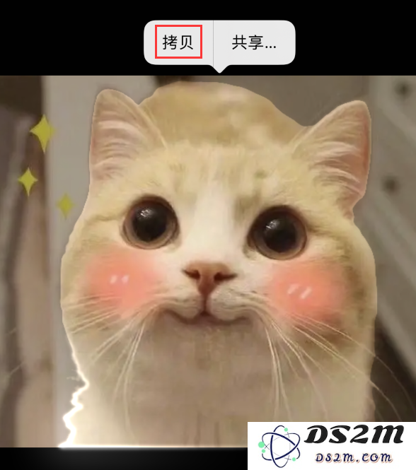iOS 16 小技巧：使用抠图功能和 iMessage 特效分享趣味图片