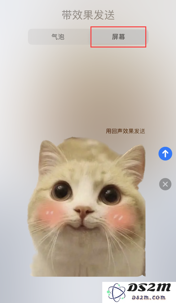 iOS 16 小技巧：使用抠图功能和 iMessage 特效分享趣味图片