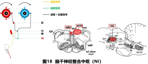 神经信号编码全流程-热修复补丁V2-支付宝即玩-AI生成式游戏
