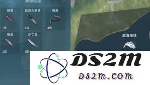 大航海时代的神秘渔场：鱼类分布及其生态环境探秘