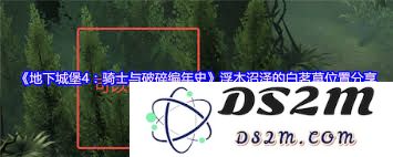 地下城堡4浮木沼泽中白茗草的准确位置和获取方法详解