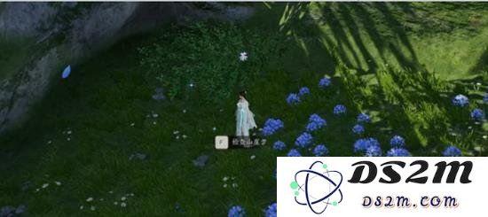 在《诛仙》世界中完成最佳信使奇遇任务的攻略