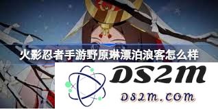 火影忍者手游中野原琳的漂泊浪客技能具体解析与玩法介绍