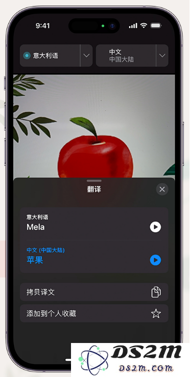 iPhone14通过摄像头取景实时翻译文本方法教程