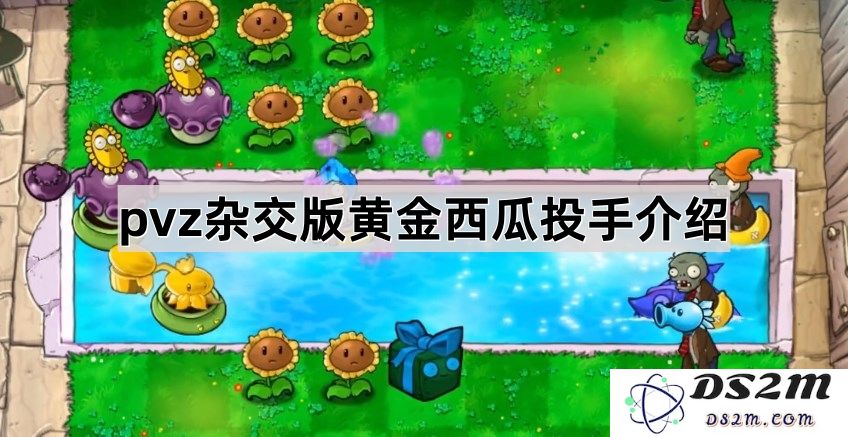 《植物大战僵尸混合版》至尊金卡植物黄金西瓜投手详细介绍与技能解析