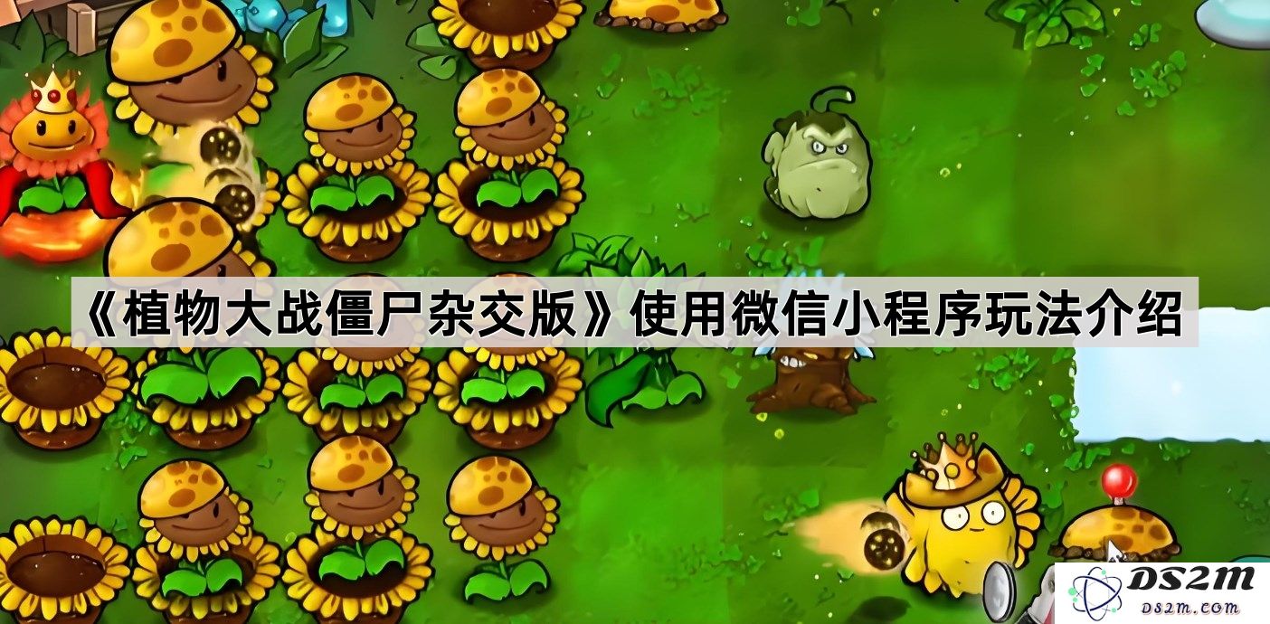 《植物大战僵尸混合版》微信小程序玩法全解析与策略分享