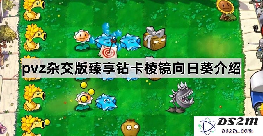 《植物大战僵尸杂交版》全新钻卡棱镜向日葵详细解析与玩法介绍
