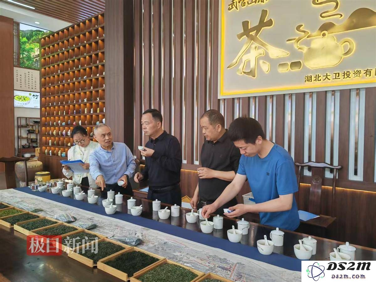 竹溪茶界盛事落幕，龙王垭茶业荣耀加冕“茶王”