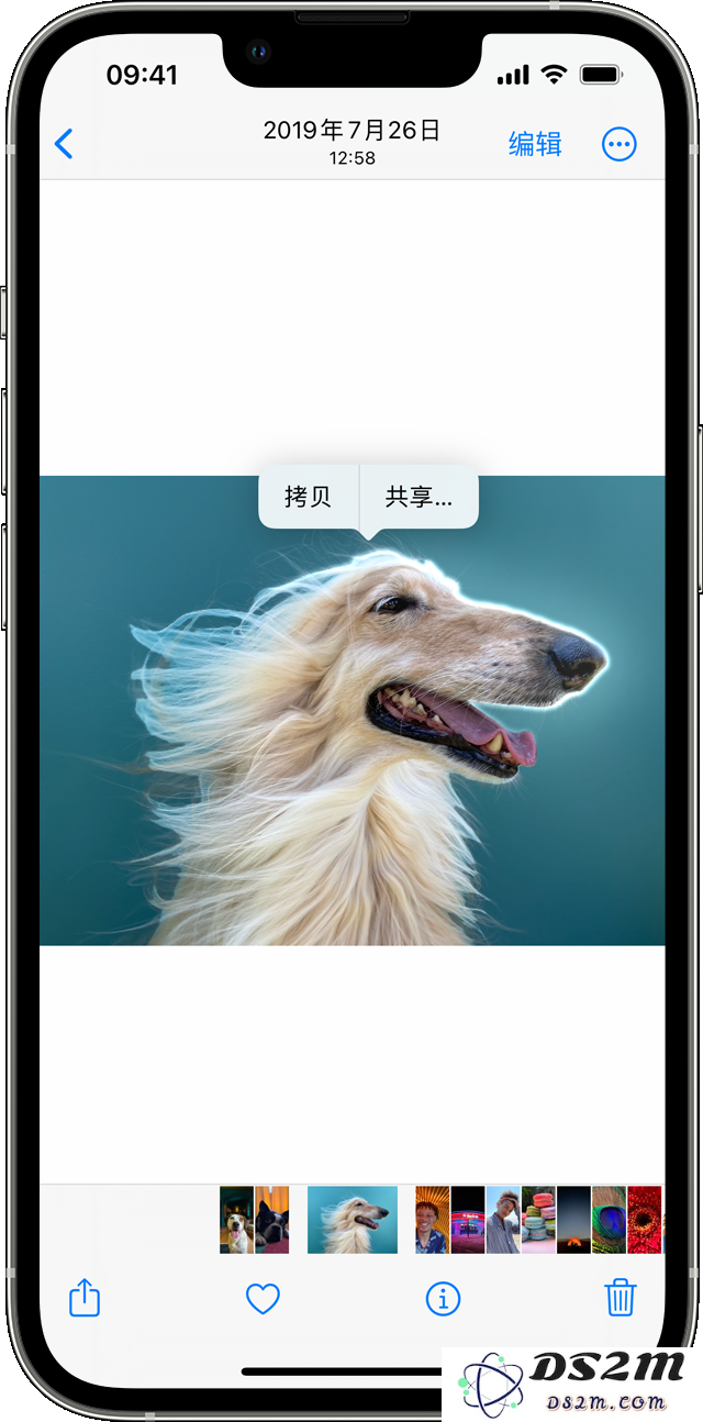 iOS 16中“一键抠图”功能可兼容哪些具体机型及其使用说明？