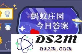 跳绳运动中如何有效预防损伤，确保安全与健康的运动体验