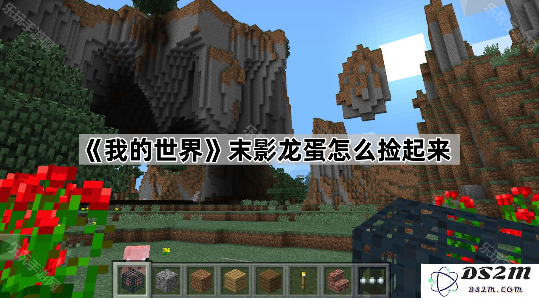 《我的世界》如何正确捡起末影龙蛋，掌握技巧轻松获得这件稀有物品