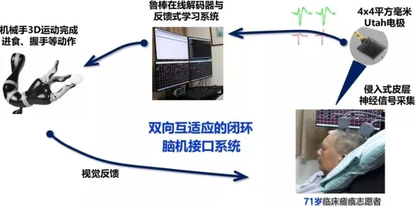 体感交互-实时更新-0428-脑机接口专用版-全攻略